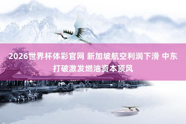 2026世界杯体彩官网 新加坡航空利润下滑 中东打破激发燃油资本顶风