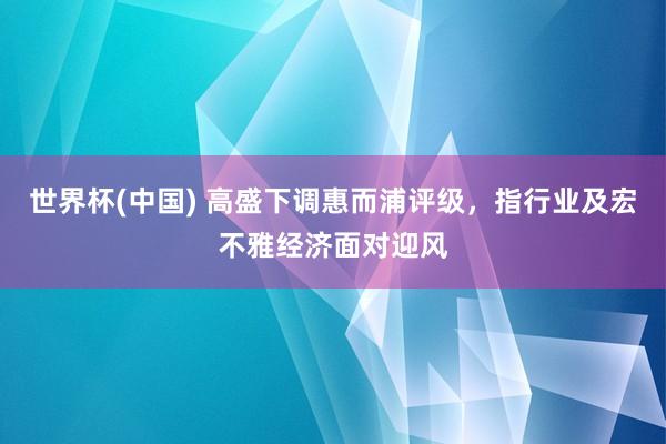 世界杯(中国) 高盛下调惠而浦评级，指行业及宏不雅经济面对迎风