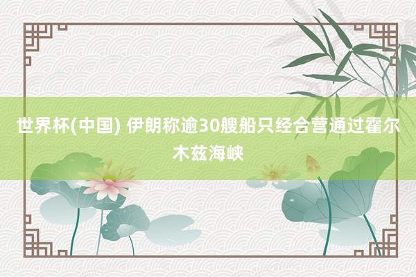 世界杯(中国) 伊朗称逾30艘船只经合营通过霍尔木兹海峡