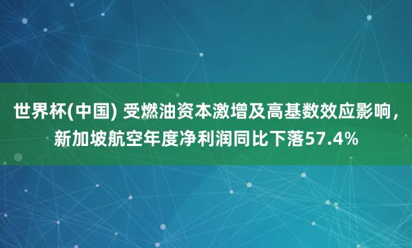 世界杯(中国) 受燃油资本激增及高基数效应影响，新加坡航空年度净利润同比下落57.4%