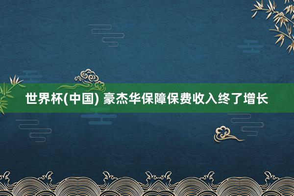 世界杯(中国) 豪杰华保障保费收入终了增长