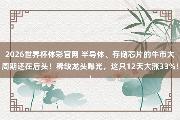 2026世界杯体彩官网 半导体、存储芯片的牛市大周期还在后头！稀缺龙头曝光，这只12天大涨33%！