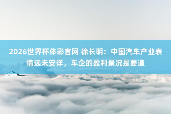 2026世界杯体彩官网 徐长明：中国汽车产业表情远未安详，车企的盈利景况是要道