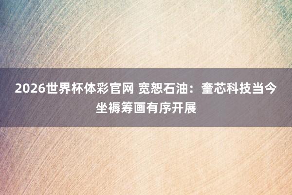 2026世界杯体彩官网 宽恕石油：奎芯科技当今坐褥筹画有序开展