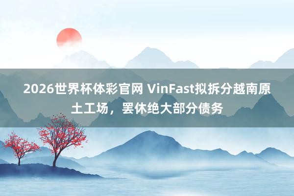 2026世界杯体彩官网 VinFast拟拆分越南原土工场，罢休绝大部分债务