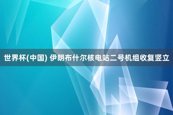 世界杯(中国) 伊朗布什尔核电站二号机组收复竖立