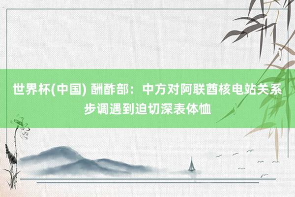 世界杯(中国) 酬酢部：中方对阿联酋核电站关系步调遇到迫切深表体恤