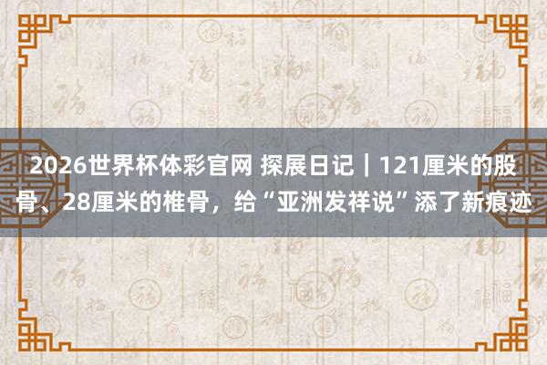 2026世界杯体彩官网 探展日记｜121厘米的股骨、28厘米的椎骨，给“亚洲发祥说”添了新痕迹