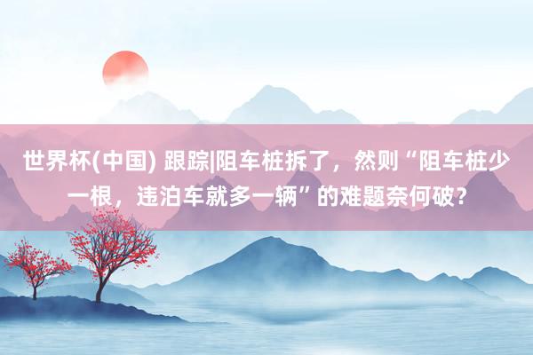 世界杯(中国) 跟踪|阻车桩拆了，然则“阻车桩少一根，违泊车就多一辆”的难题奈何破？