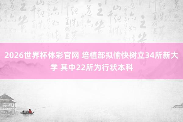 2026世界杯体彩官网 培植部拟愉快树立34所新大学 其中22所为行状本科