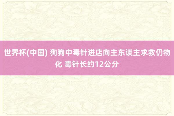 世界杯(中国) 狗狗中毒针进店向主东谈主求救仍物化 毒针长约12公分