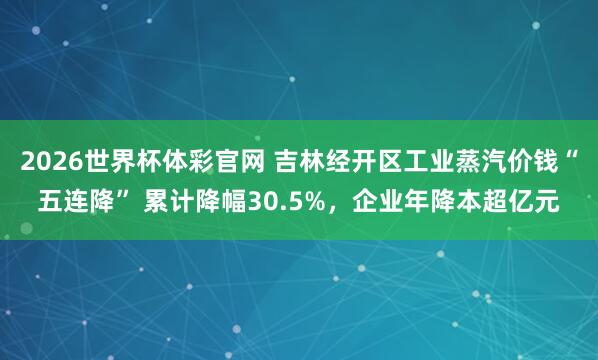 2026世界杯体彩官网 吉林经开区工业蒸汽价钱“五连降” 累计降幅30.5%，企业年降本超亿元