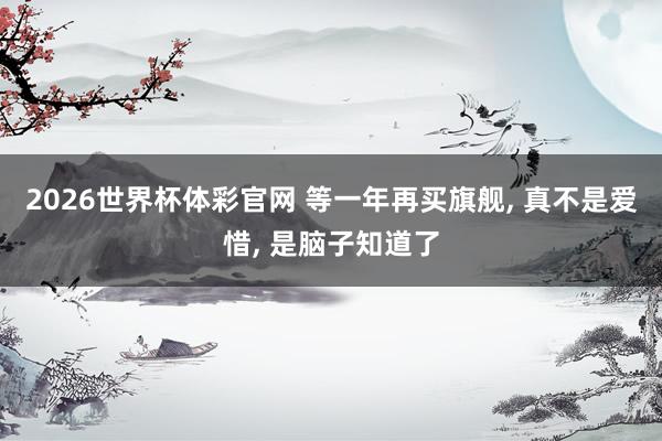 2026世界杯体彩官网 等一年再买旗舰， 真不是爱惜， 是脑子知道了