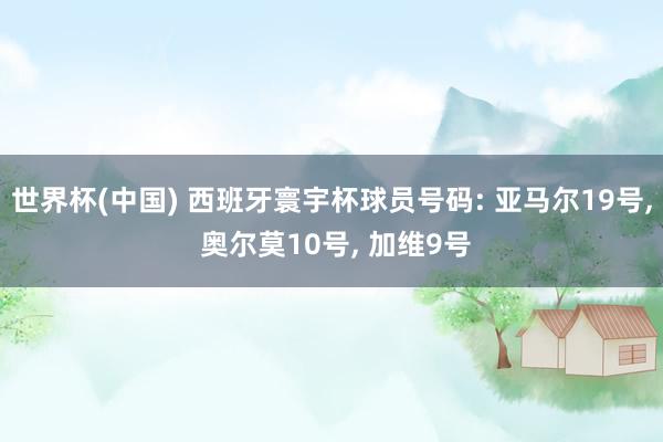 世界杯(中国) 西班牙寰宇杯球员号码: 亚马尔19号， 奥尔莫10号， 加维9号