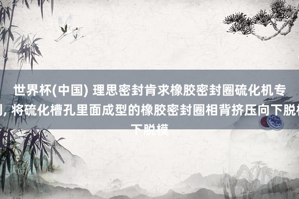 世界杯(中国) 理思密封肯求橡胶密封圈硫化机专利， 将硫化槽孔里面成型的橡胶密封圈相背挤压向下脱模