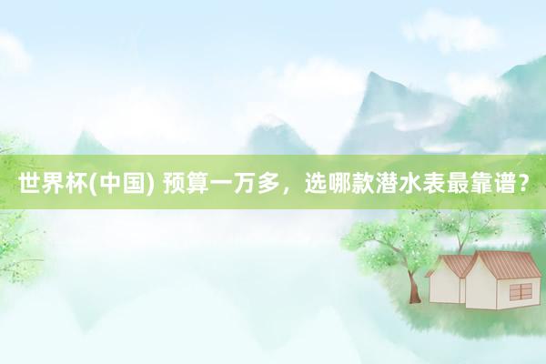 世界杯(中国) 预算一万多，选哪款潜水表最靠谱？
