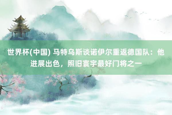 世界杯(中国) 马特乌斯谈诺伊尔重返德国队:他进展出色,照旧寰宇最好门将之一