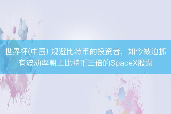 世界杯(中国) 规避比特币的投资者,如今被迫抓有波动率朝上比特币三倍的SpaceX股票