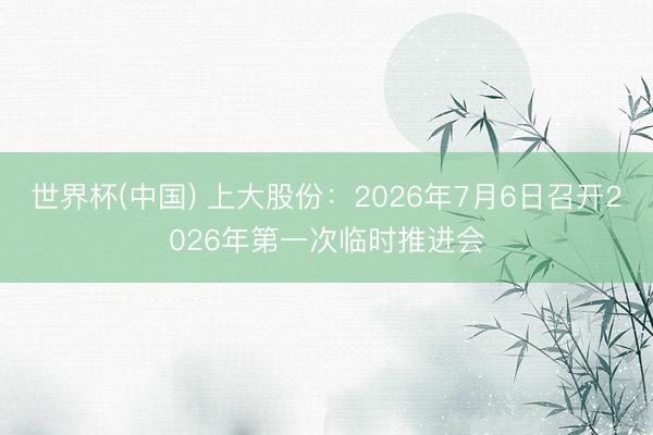 世界杯(中国) 上大股份：2026年7月6日召开2026年第一次临时推进会